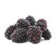 Fresh Blackberry 150g 
