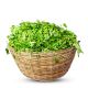 Fresh Ewedu Leaf Per Kg (Togo)