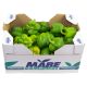 Fresh Green Pepper Box 4.5kg