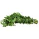 Fresh Ewedu leaf 